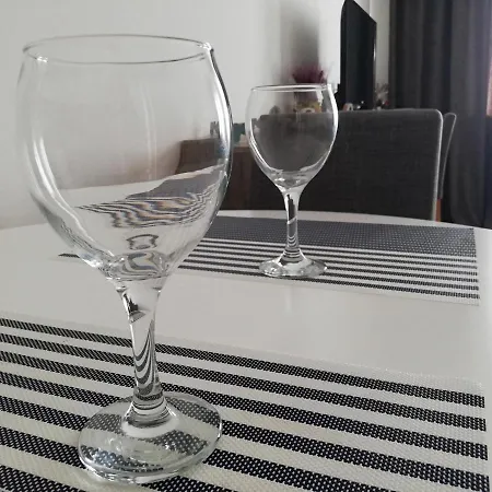 Center Apartment Nis